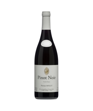 Pinot Noir 2024 - Florian Mollet