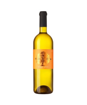 Pinot Gris 2022 - Tilia Estate
