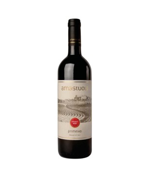 Primitivo 2021 - Amastuola