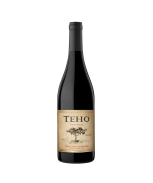 Teho Malbec 2020 - Bodega Teho