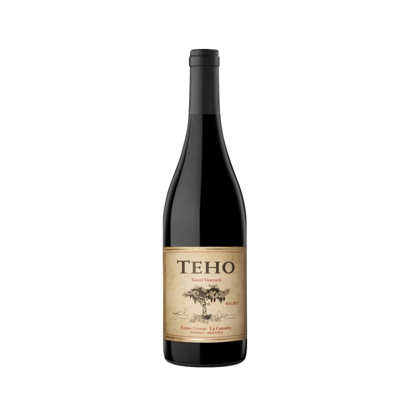 Teho Malbec 2020 - Bodega Teho