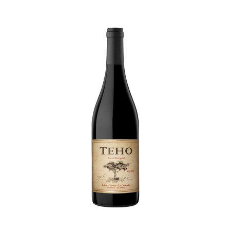 Teho Malbec 2020 - Bodega Teho