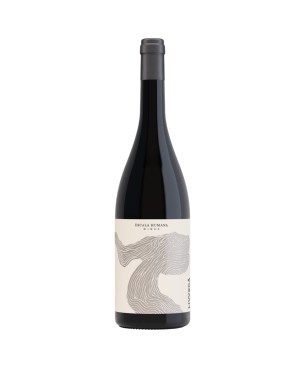 Livvera Malbec 2019 - Escala Humana