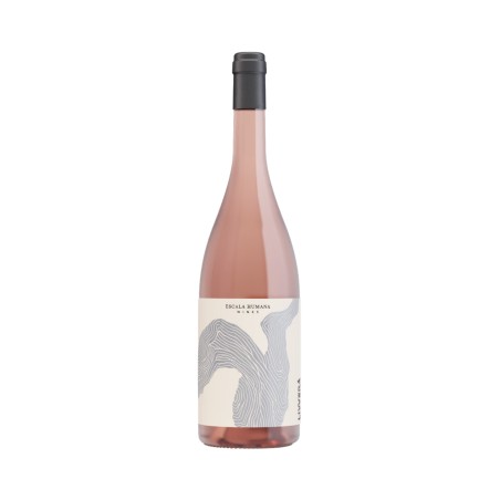Livvera Sangiovese Rose 2020 - Escala Humana
