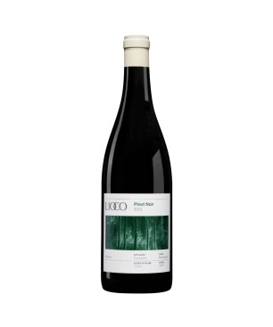 Chimera Pinot Noir 2023 - Lioco