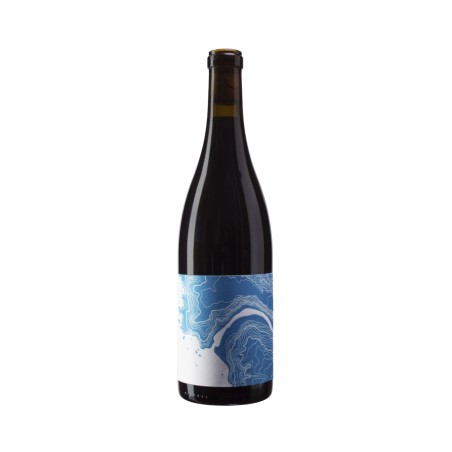 Mendocino Pinot Noir 2021 - Lioco