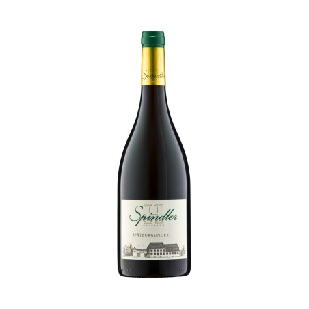 Spätburgunder 2023 - Heinrich Spindler