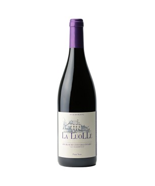 Bourgogne Rouge 2021 - Domaine de La Luolle