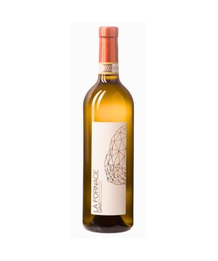 Gavi La Fornace 2024 - Cinzia Bergaglio