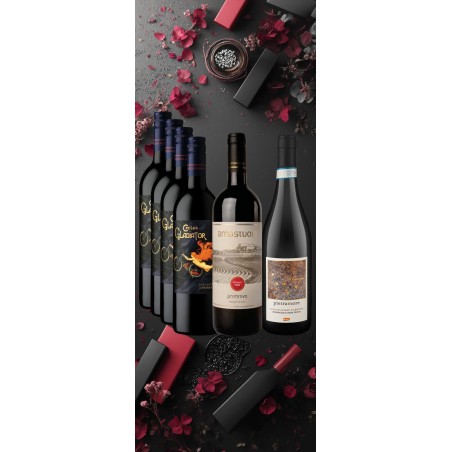 Winna Paczka 6 - Radzioszek