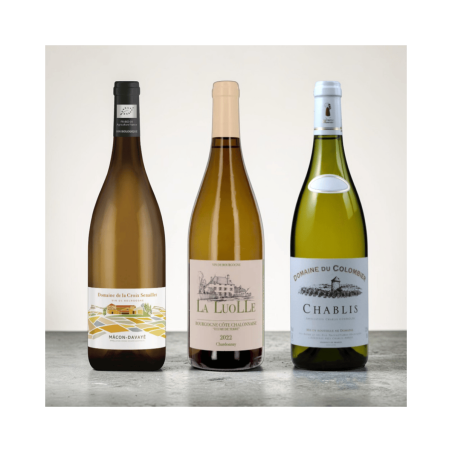 Winna Paczka 3 | Burgundia i okolice