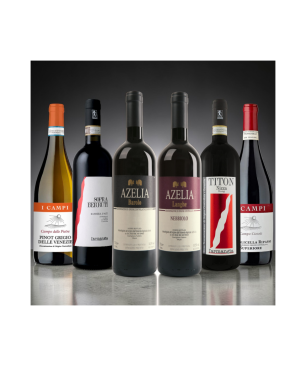 Winna Paczka 6 | Włochy: północ